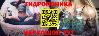 гидропоника Коммунар