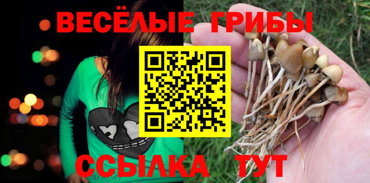 Чехов  Псилоцибиновые грибы Psilocybine cubensis  Галлюциногенные грибы мухоморы  Вход с VPN 