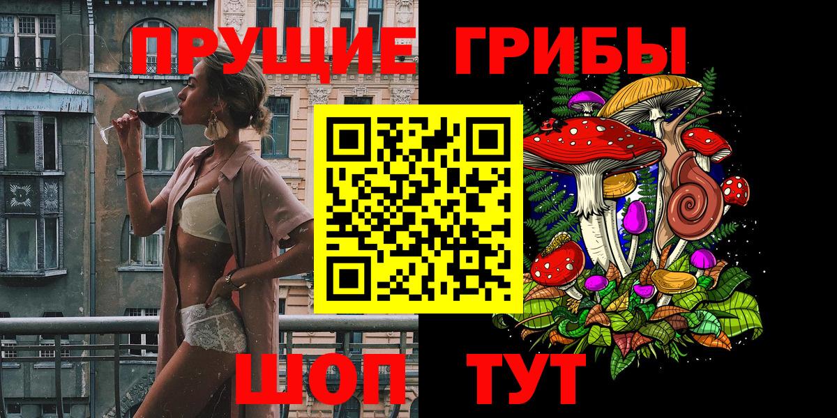 Псилоцибиновые грибы Psilocybine cubensis Чехов